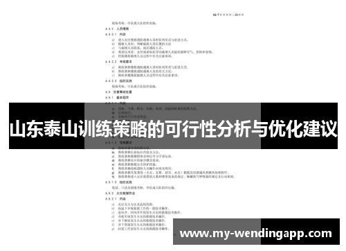 山东泰山训练策略的可行性分析与优化建议