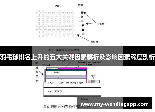 羽毛球排名上升的五大关键因素解析及影响因素深度剖析