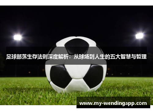 足球部落生存法则深度解析：从球场到人生的五大智慧与哲理