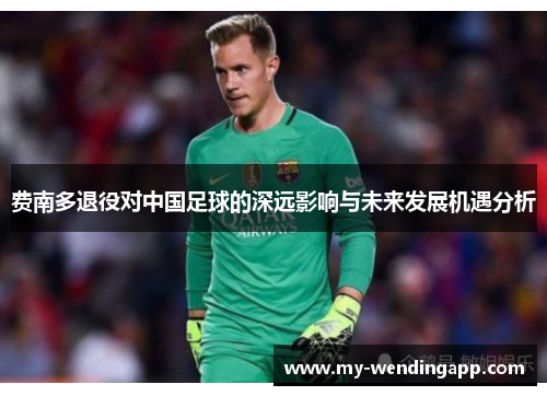 费南多退役对中国足球的深远影响与未来发展机遇分析