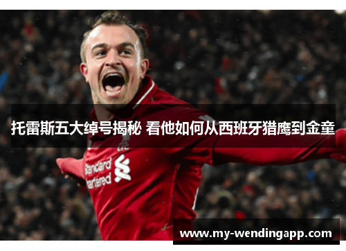 托雷斯五大绰号揭秘 看他如何从西班牙猎鹰到金童