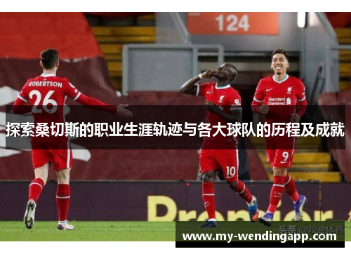 探索桑切斯的职业生涯轨迹与各大球队的历程及成就