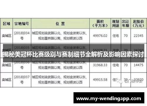 揭秘美冠杯比赛级别与赛制细节全解析及影响因素探讨