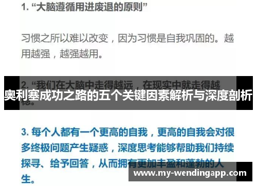 奥利塞成功之路的五个关键因素解析与深度剖析