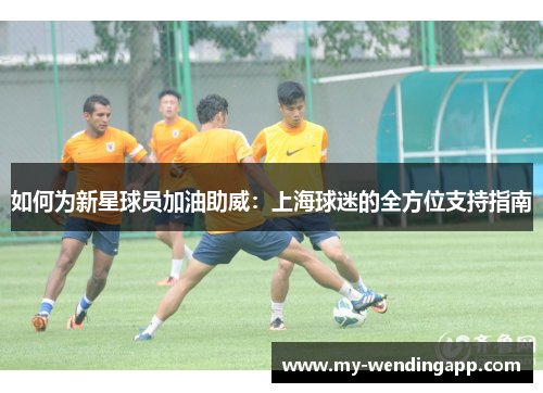 如何为新星球员加油助威：上海球迷的全方位支持指南