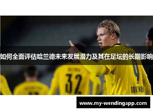 如何全面评估哈兰德未来发展潜力及其在足坛的长期影响