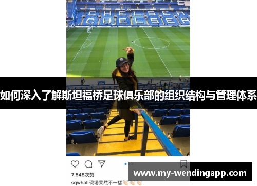 如何深入了解斯坦福桥足球俱乐部的组织结构与管理体系