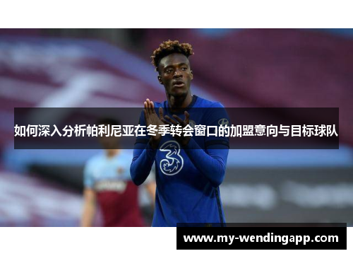 如何深入分析帕利尼亚在冬季转会窗口的加盟意向与目标球队