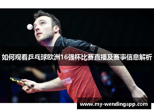 如何观看乒乓球欧洲16强杯比赛直播及赛事信息解析
