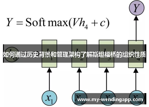 如何通过历史背景和管理架构了解斯坦福桥的组织性质