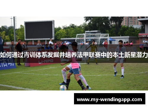 如何通过青训体系发掘并培养法甲联赛中的本土新星潜力