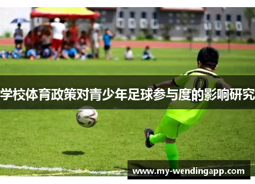 学校体育政策对青少年足球参与度的影响研究